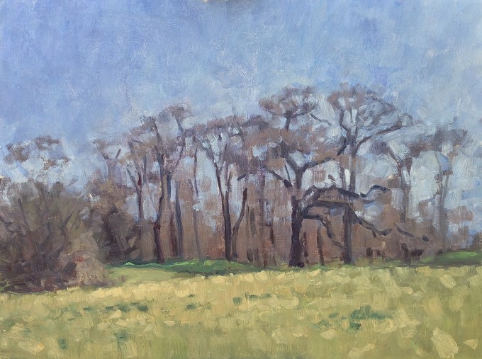 Spring trees Princes Wood