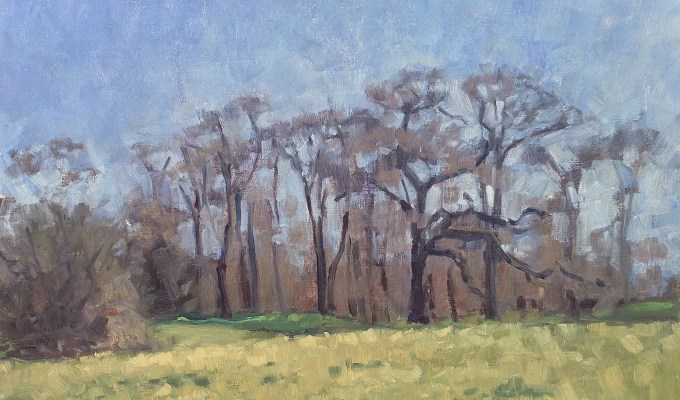 Spring trees, Princes Wood Spring trees, Princes Wood