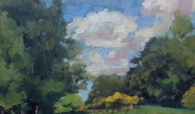 Gorse and clouds, Park Pit Gorse and clouds, Park Pit